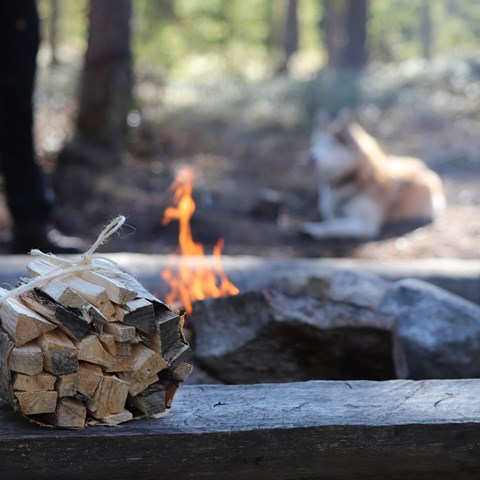 Ved vid brasa i skogen