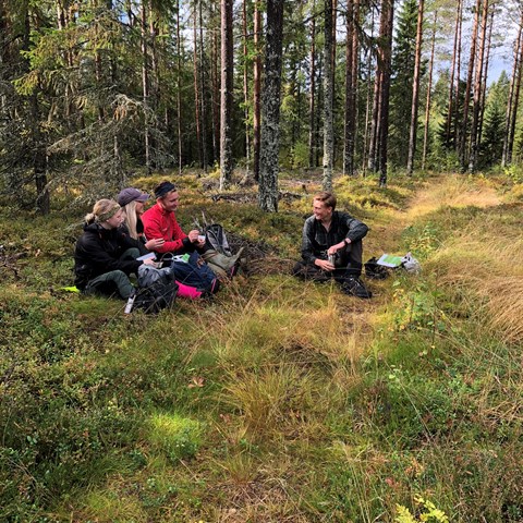 Studenter i skogsmiljö