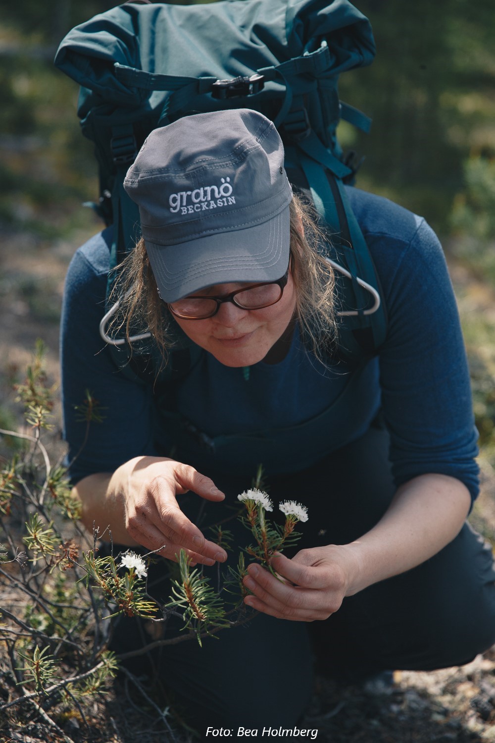 Woman sitting with Ledum palustre flower in hand