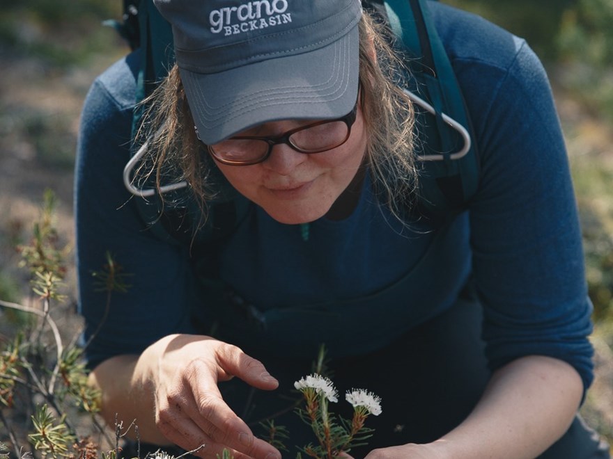 Kvinna sittande på huk med blommande skvattram i handen