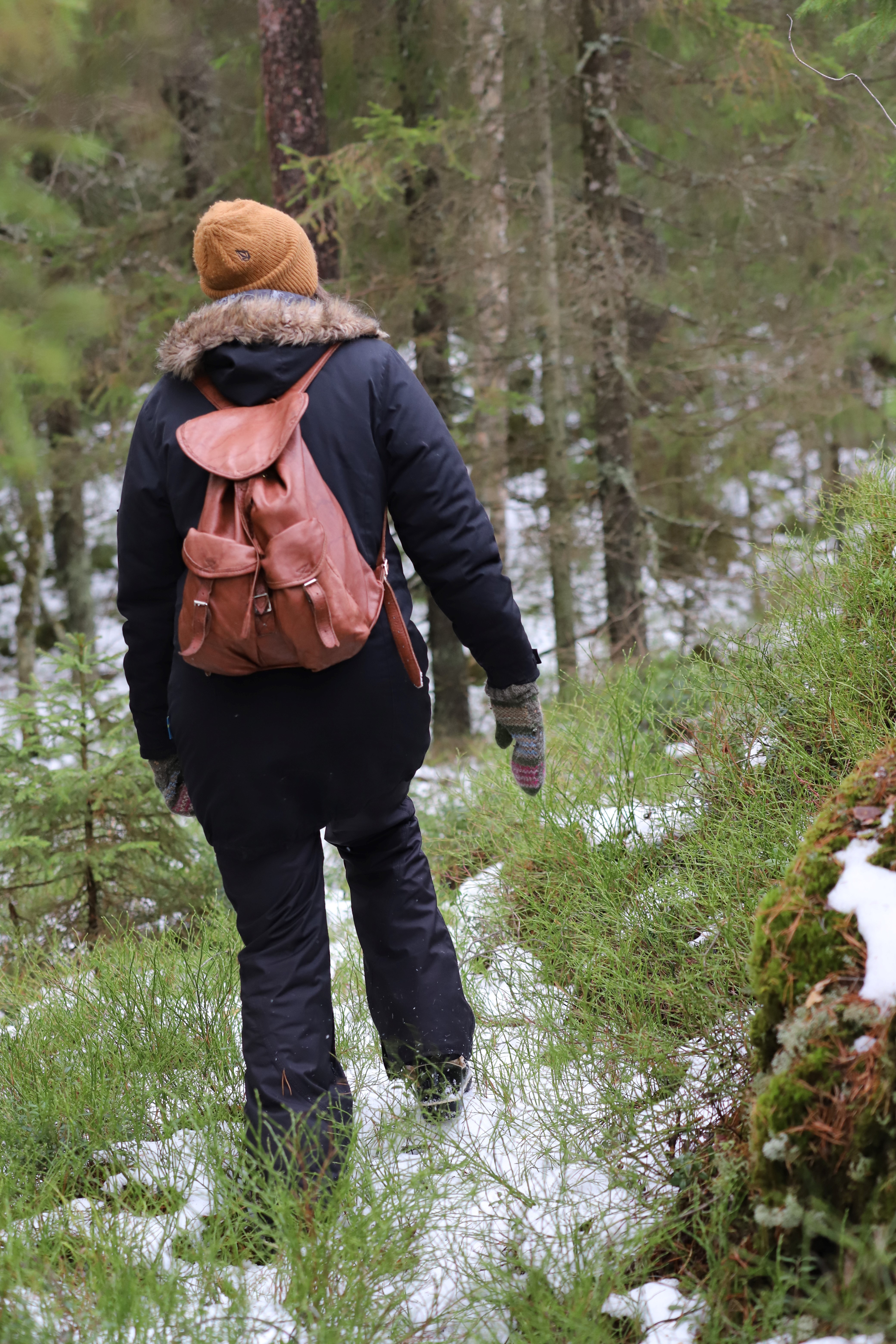 Kvinna med ryggsäck går i tallskog