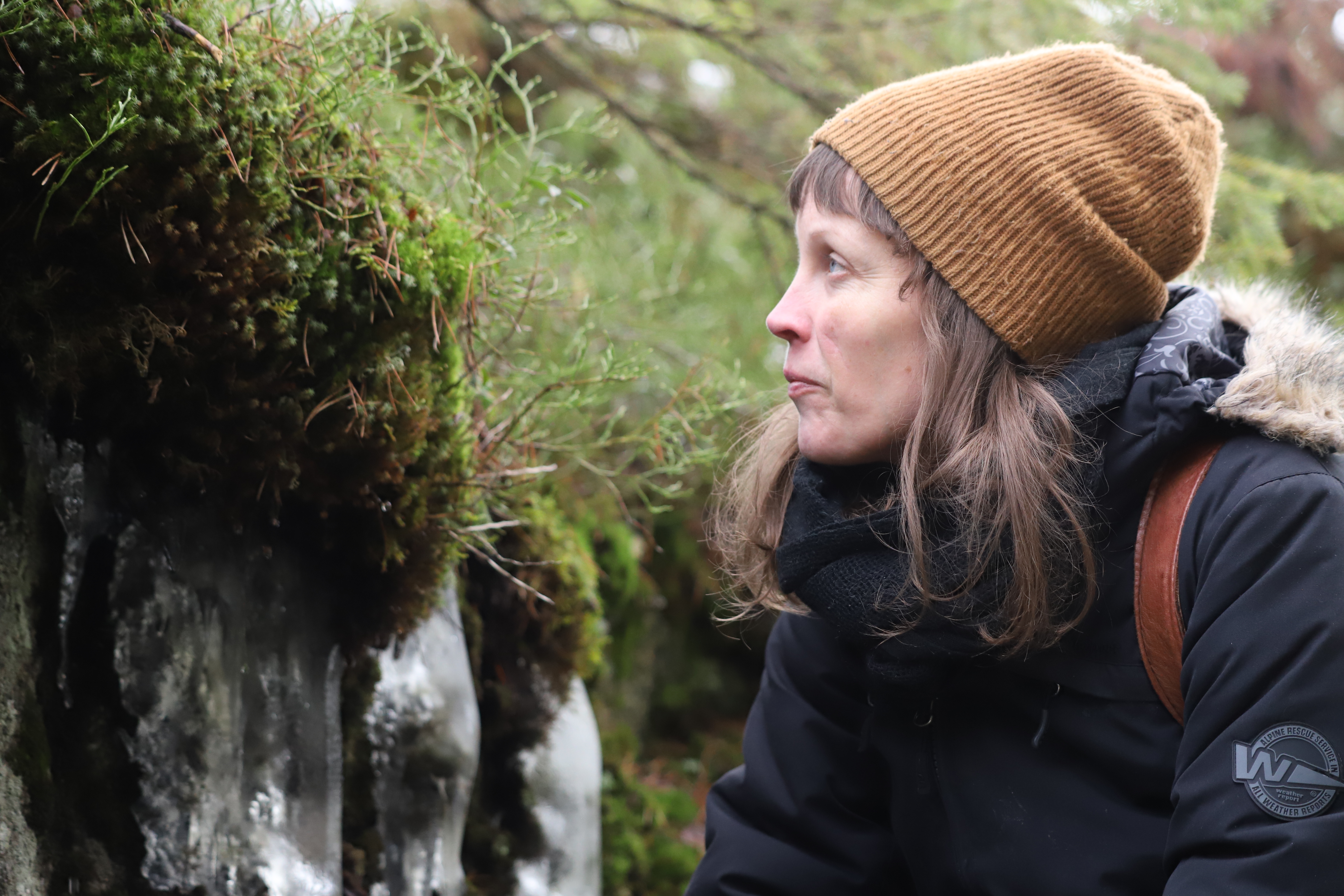 Woman waching mosses in the forest