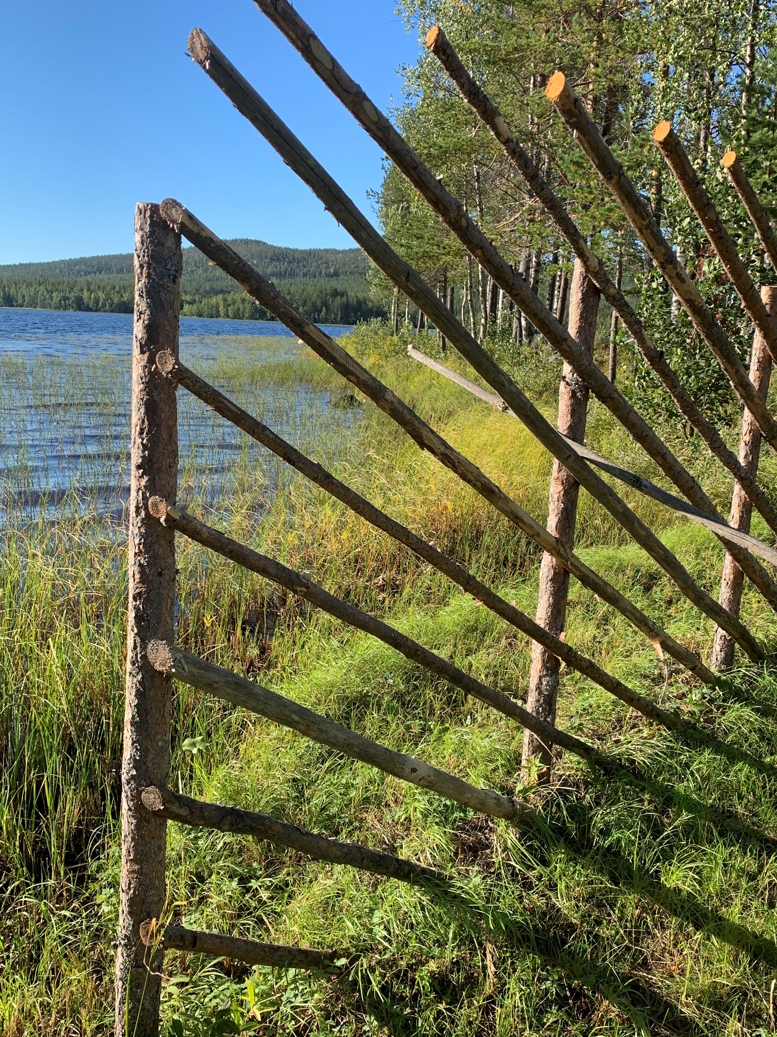 Old fasioned spruce fence by a lake