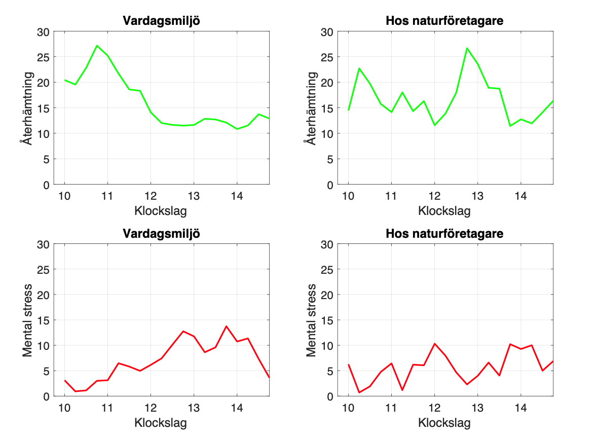 Diagram score för återhämtning, mental och fysisk stress