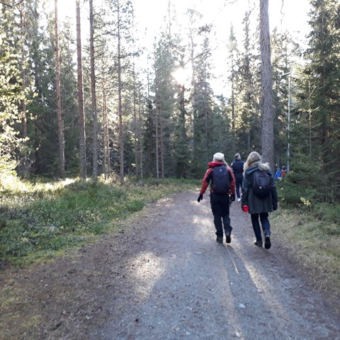 Människor på promenad i stadsnära skog