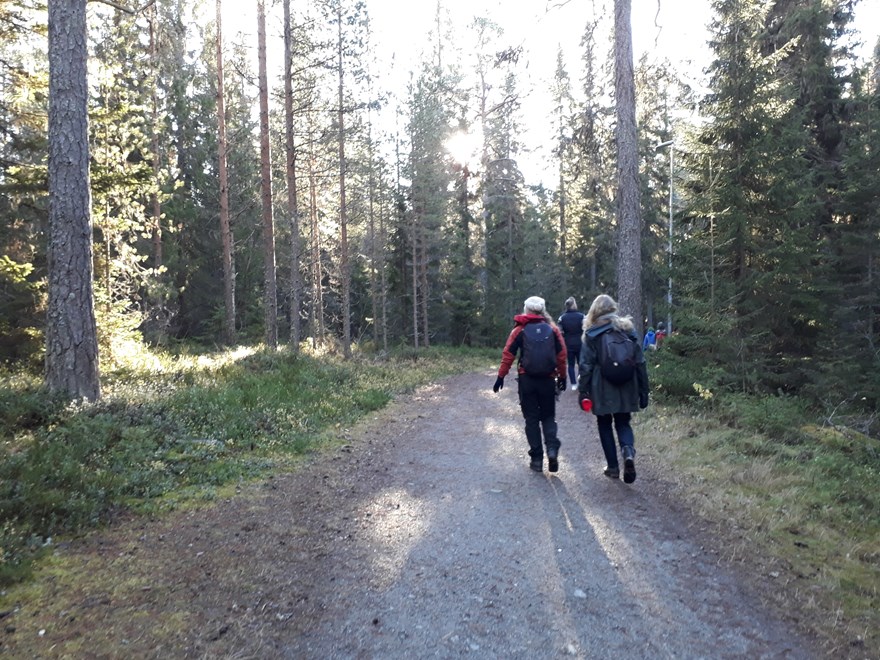 Människor på promenad i stadsnära skog