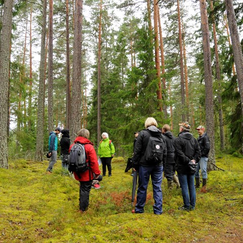 Utbildning i skogsmiljö