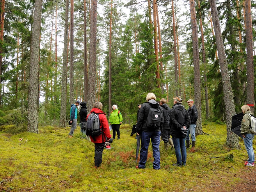 Utbildning i skogsmiljö