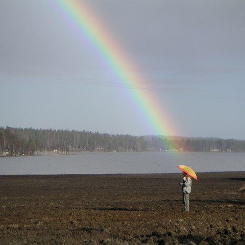 Rainbow over lake