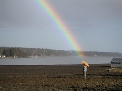 Rainbow over lake