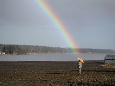 Regnbåge över sjö