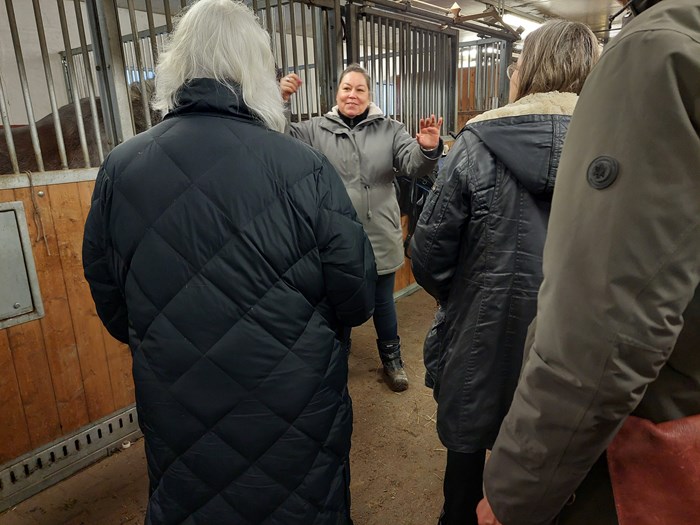 Inifrån ett stall med människor