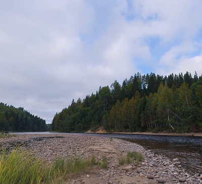 Vid älvstrand vid Lögdeälven