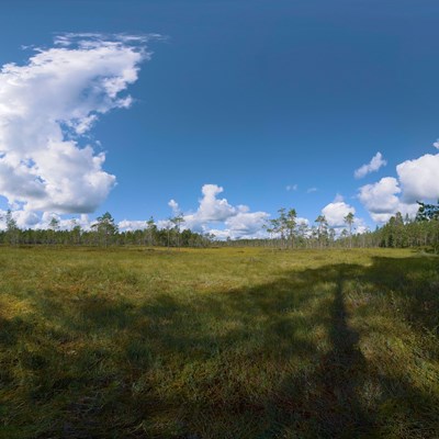 Myr VR