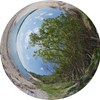 360 image of beach with trees