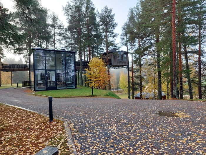 Trädkojor vid Granö Beckasin