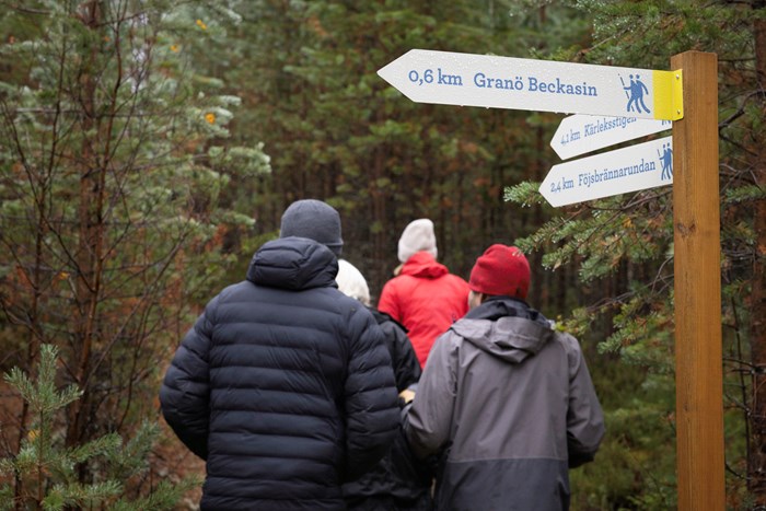 Vy över Umeälven i höstfärger