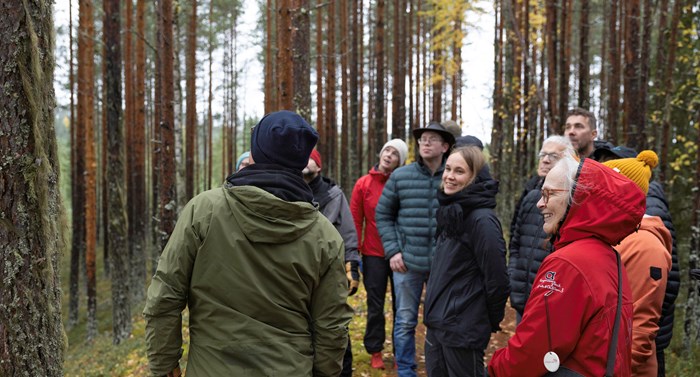 Skogsvandring vid Granö beckasin