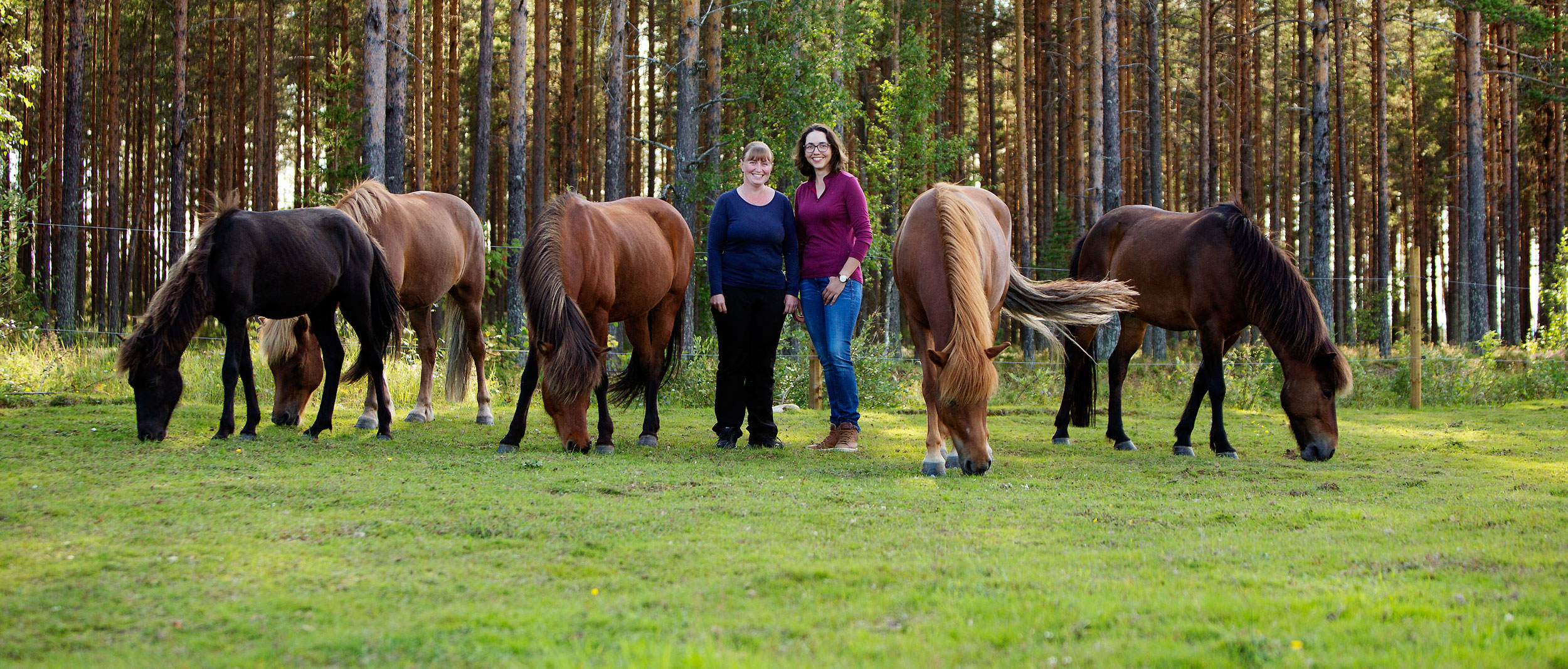Two persons and Horses