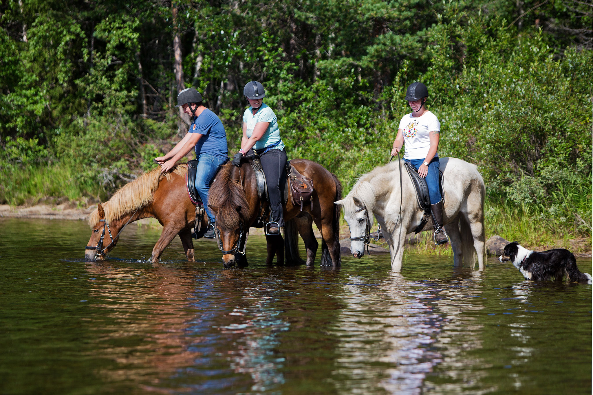 Horses by the river
