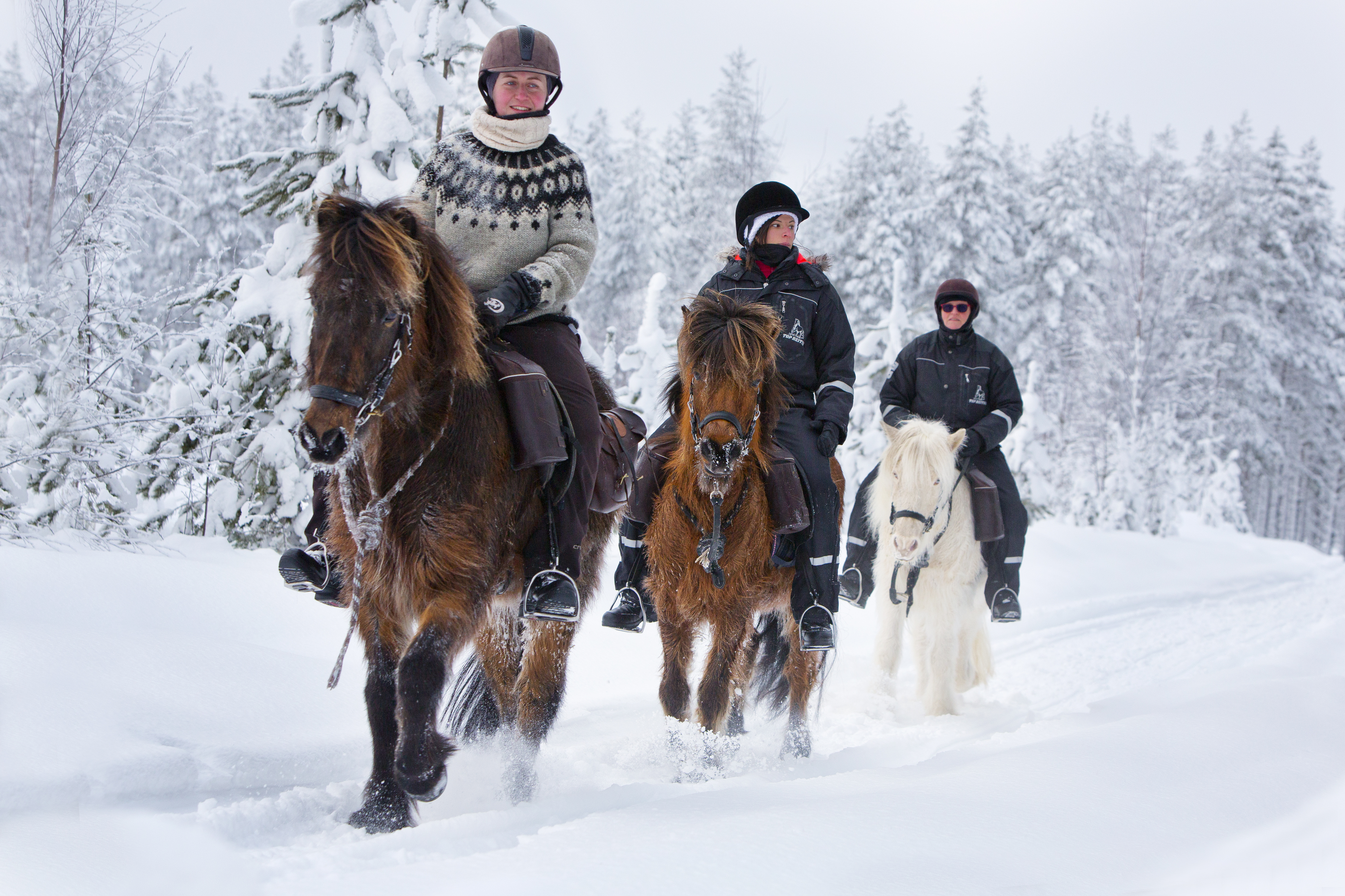 Randonnée équestre hiver.jpg