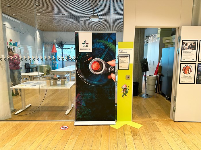 SLU-monter at the library in Umeå