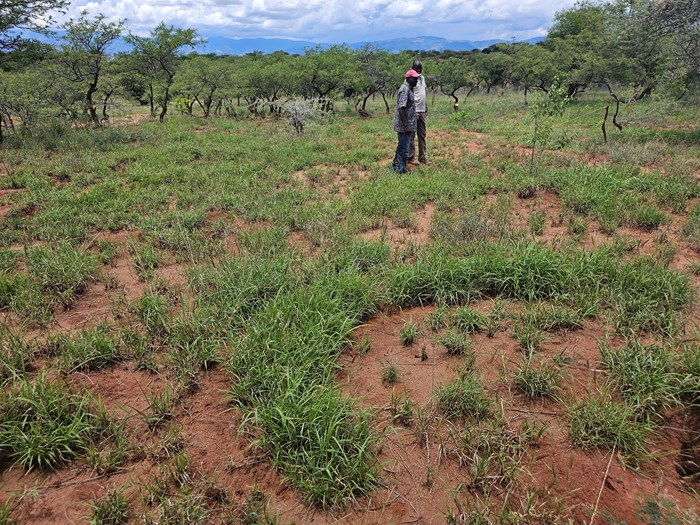 Visit to the project site in Chepareria, West Pokot county.