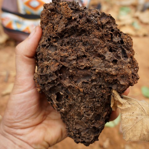 Many factors will affect the infiltration of soil. This clump in Muminji, Kenya is perforated by termites, making large canals for water to filter through.