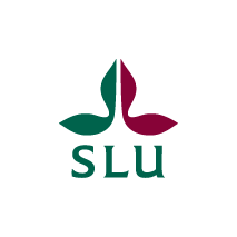 SLU Logo. Illustration.