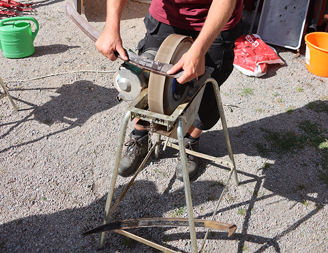Sharpening of  scythe. Photo.
