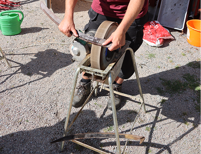 Sharpening of  scythe. Photo.