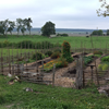 A vegetable garden  surrounded by  a fence and with the Uppsala plain in the background. Photo.