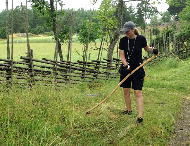 Intern Marta i scything. Photo.