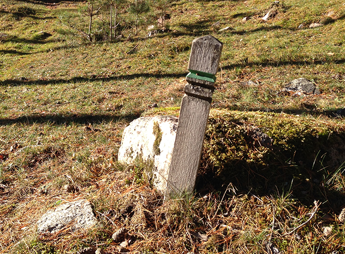 En trästolpe med färgmarkeringar nedstucken i marken. Foto.