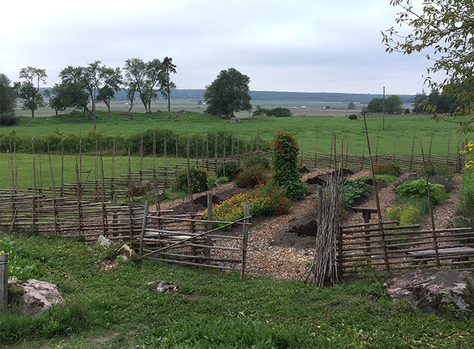 The vegetable garden seen from the Linnaeus’ trail “Danmark trail”. Photo.