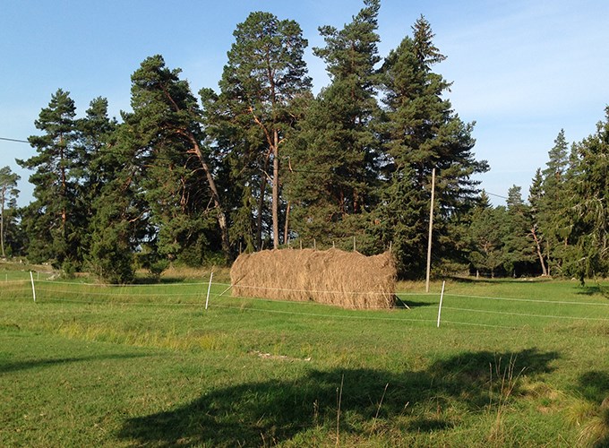 Hayrack in August 2018. Photo.