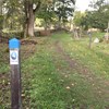 Wooden sign pole marking the Linneaus trail. Photo.
