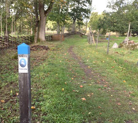 Wooden sign pole marking the Linneaus trail. Photo.