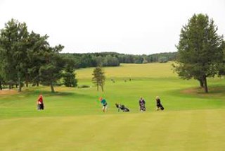 A golf course. Photo.