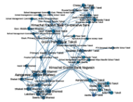 Graph showing the local institutional network, from a pilot study, Takoli, India. Illustration.