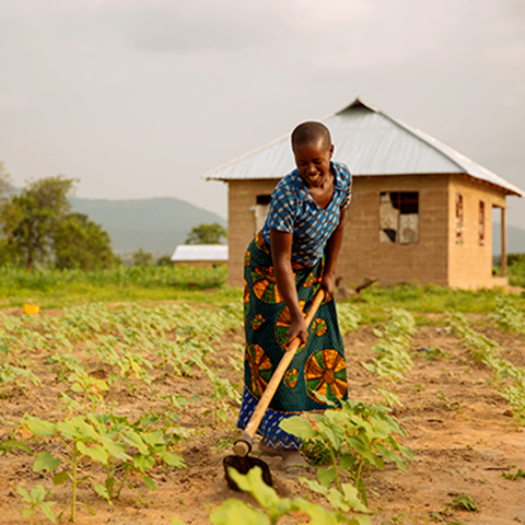 Woman using a hoe to till the soil on small Tanzania farm. Photo.