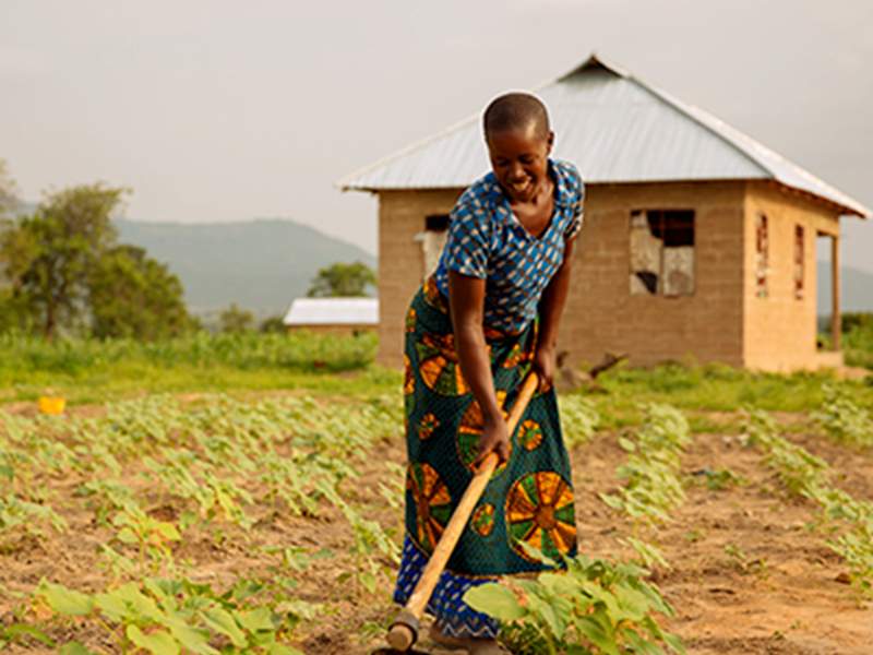 Woman using a hoe to till the soil on small Tanzania farm. Photo.