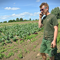 A young man standing in a field talking in a cellphone. Photo.