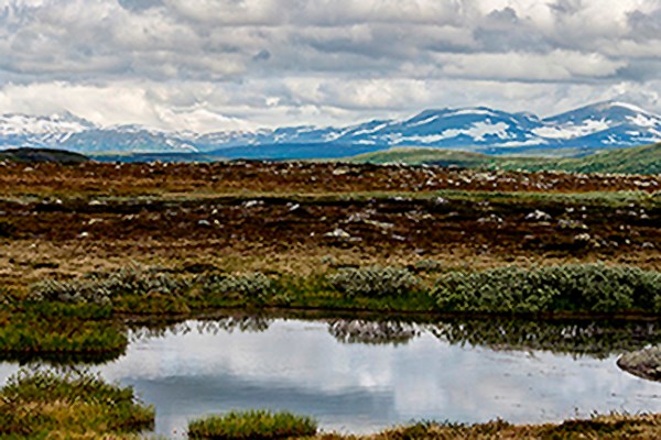 The Swedish mountains with a small lake in the foreground. Photo.