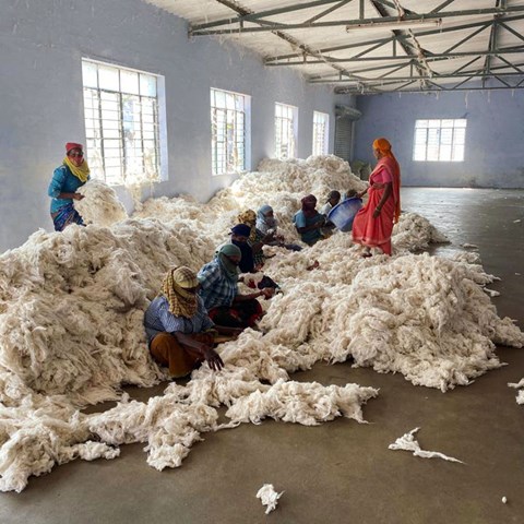 Textilarbetare i Indien sitter i en lagerlokal med en stor hög bomull. Foto.