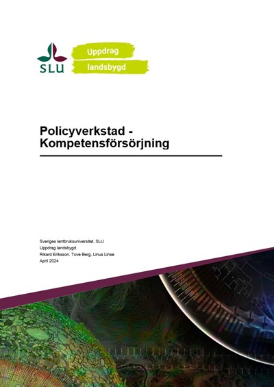 Rapport Kompetensförsörjning