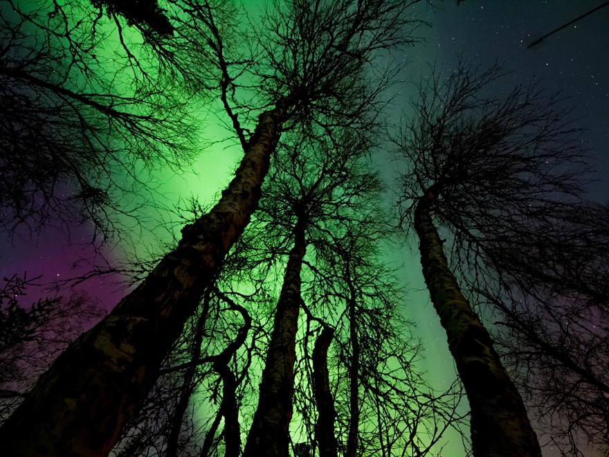Northern lights