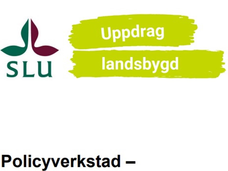 Publikation