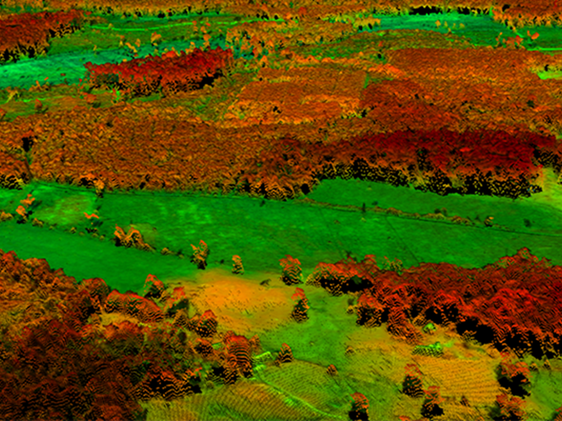 Photogrammetric point cloud over forest landscape. Image.