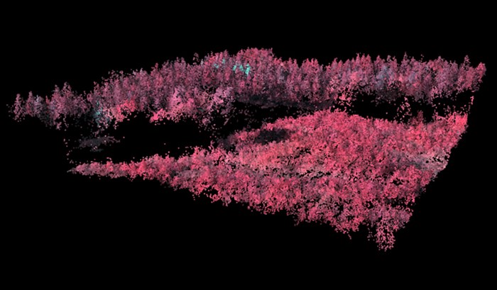 Photogrammetric point cloud of a spruce forest in profile and clear cut in the front. Image.